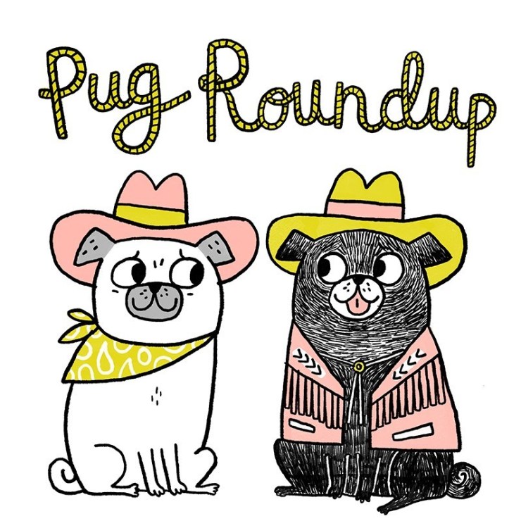 cropped-pug-roundup